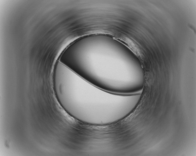 X0000091591140200708200946