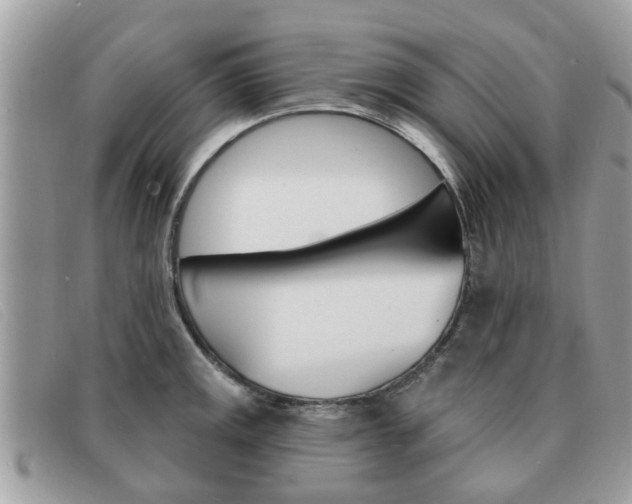 X0000091591141200708200946