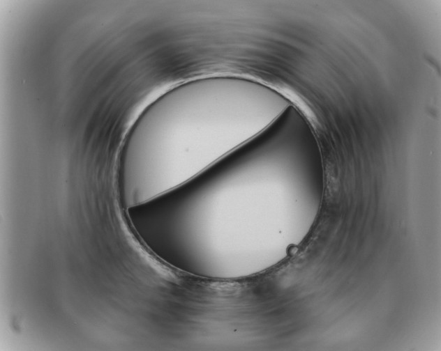 X0000091591142200708200946