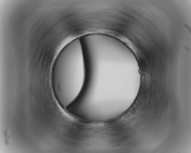 X0000091591143200708200946