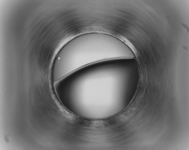 X0000091591144200708200946