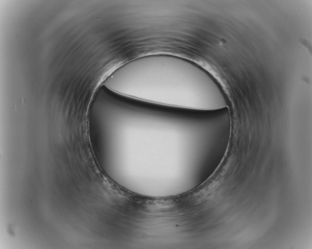 X0000091591145200708200946