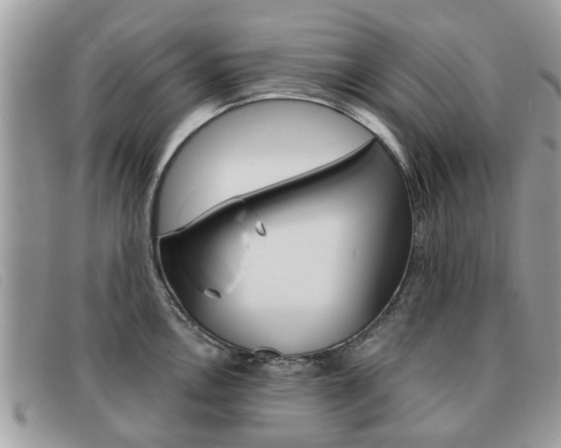 X0000091591146200708200946