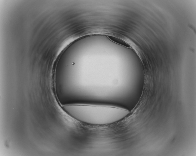 X0000091591147200708200946
