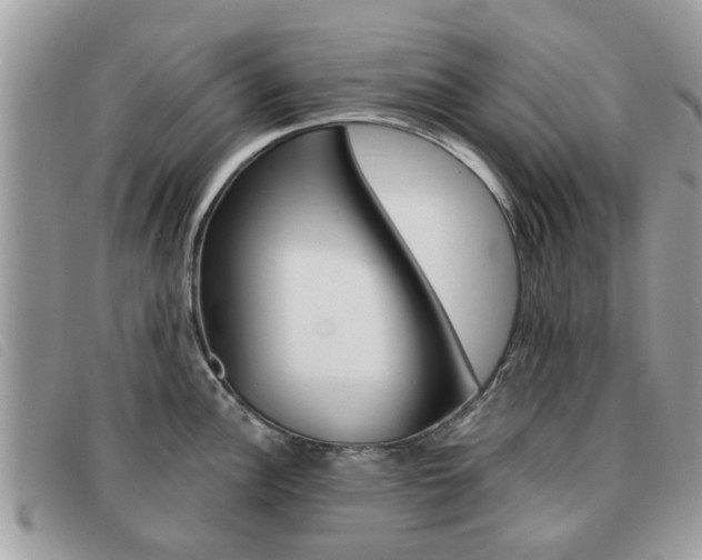X0000091591148200708200946