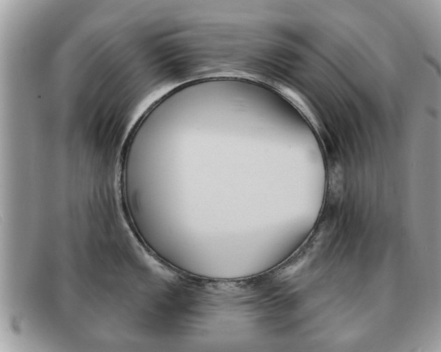 X0000091591149200708200946