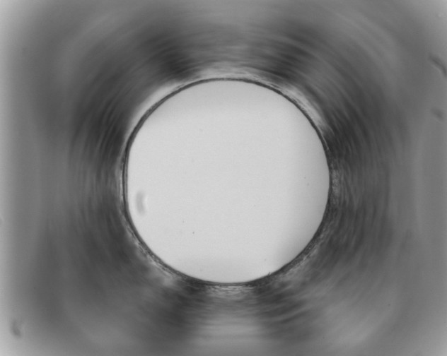 X0000091591150200708200946