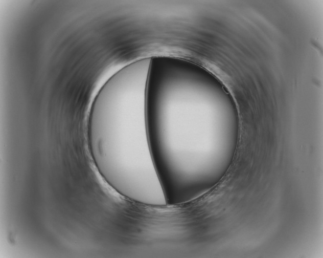 X0000091591152200708200946