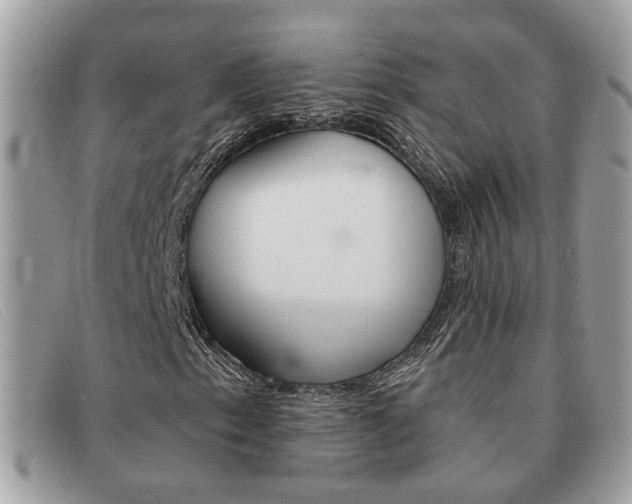 X0000091591153200708200945