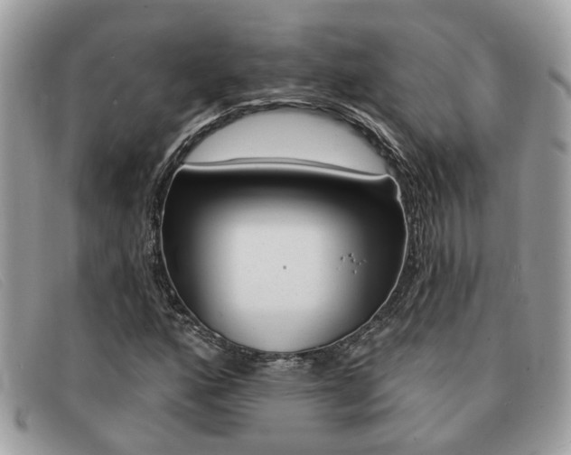 X0000091591160200708200945