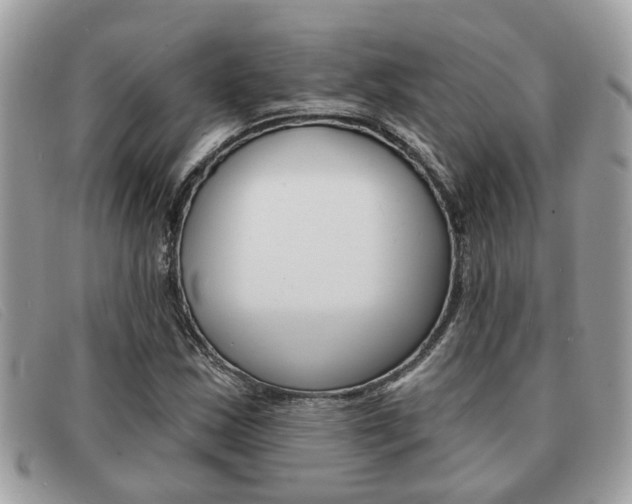 X0000091591163200708200945