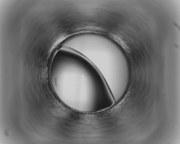 X0000091591164200708200945