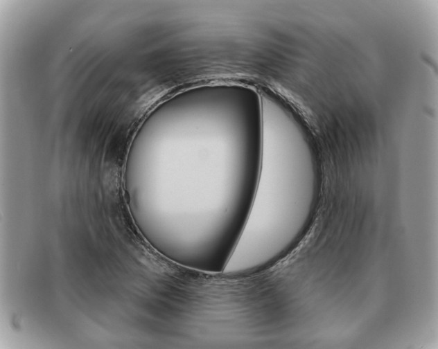 X0000091591169200708200945