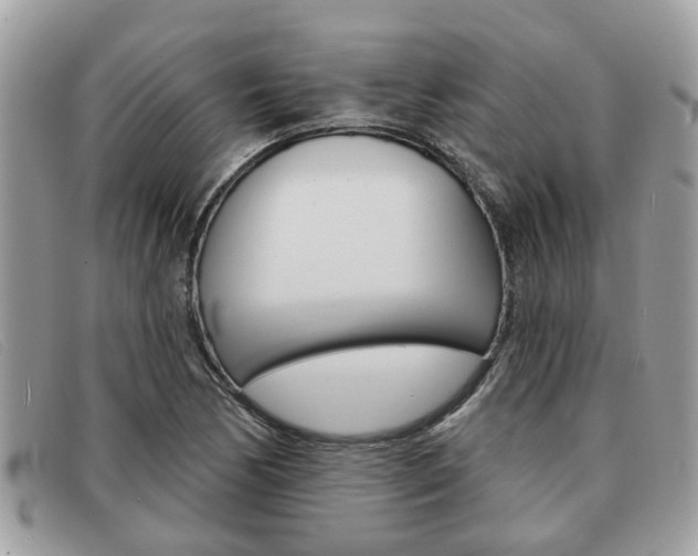 X0000091591170200708200945