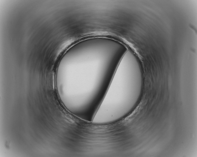 X0000091591171200708200945