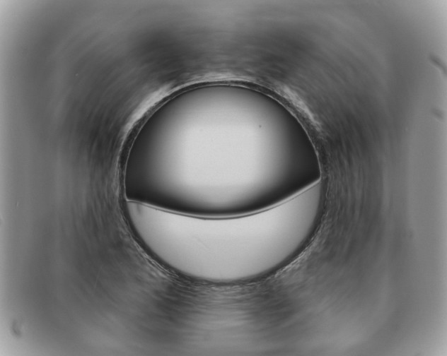 X0000091591173200708200945