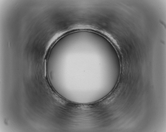 X0000091591175200708200945