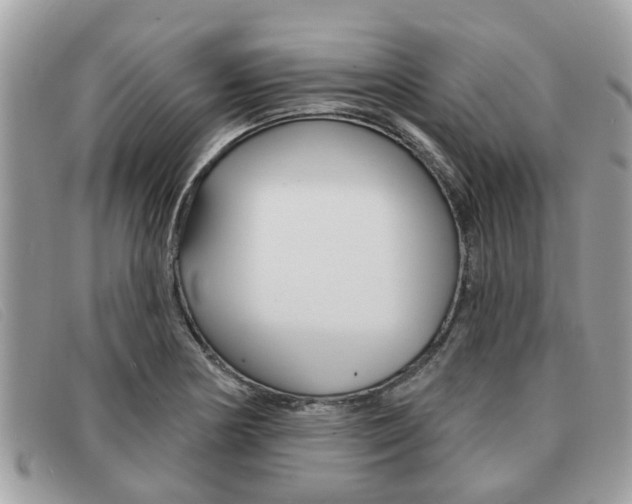 X0000091591178200708200945