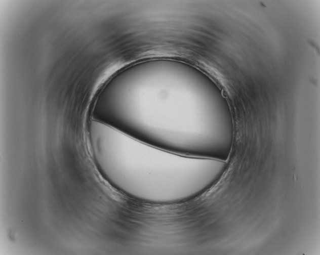 X0000091591179200708200945