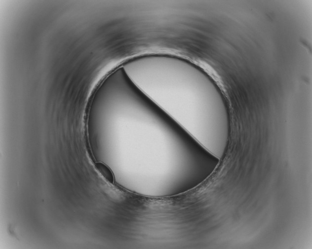 X0000091591183200708200945
