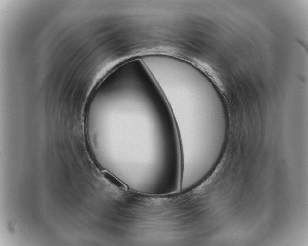 X0000091591184200708200945