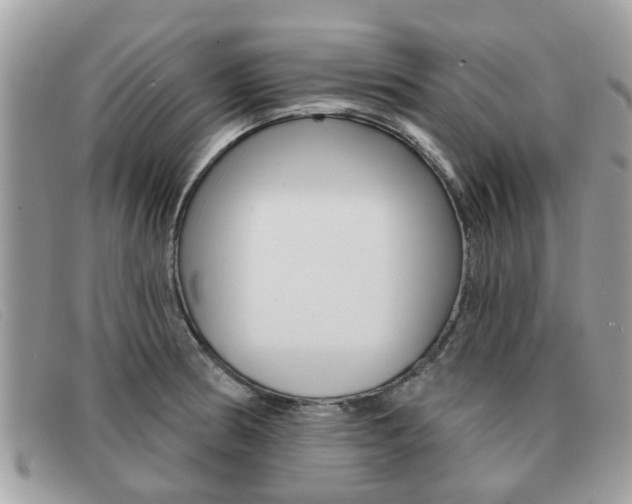 X0000091591186200708200945
