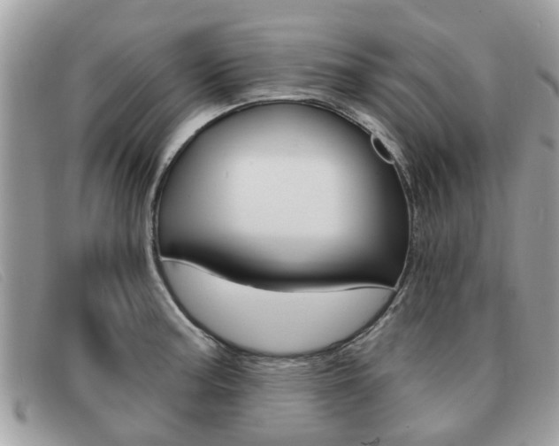 X0000091591187200708200945