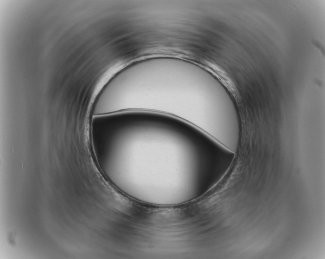 X0000091591188200708200945