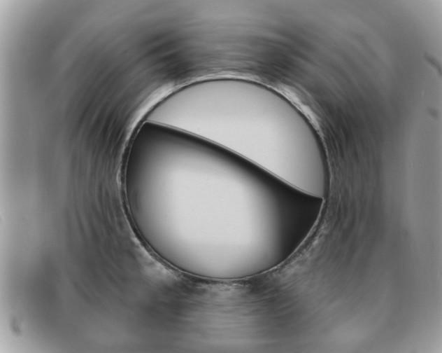 X0000091591189200708200945