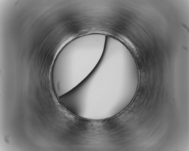 X0000091591190200708200945