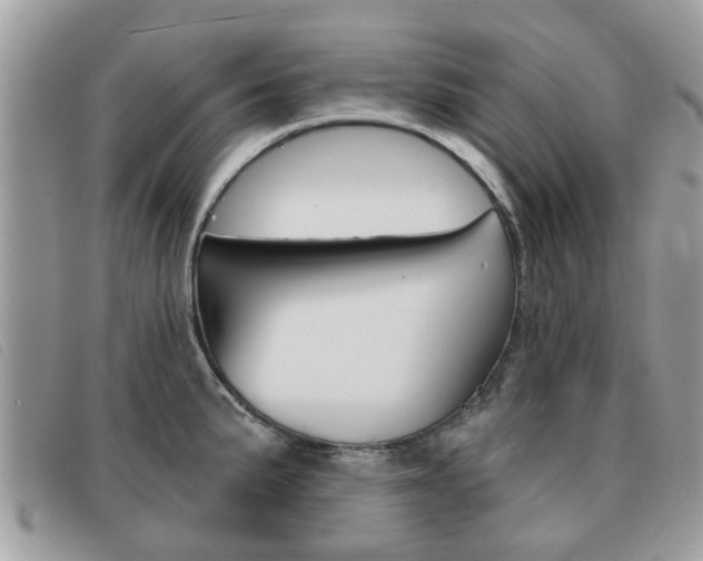 X0000091591191200708200945