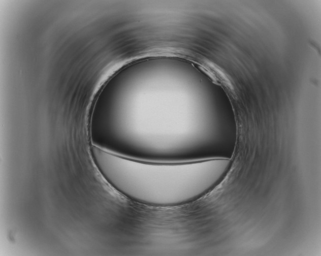 X0000091591192200708200945