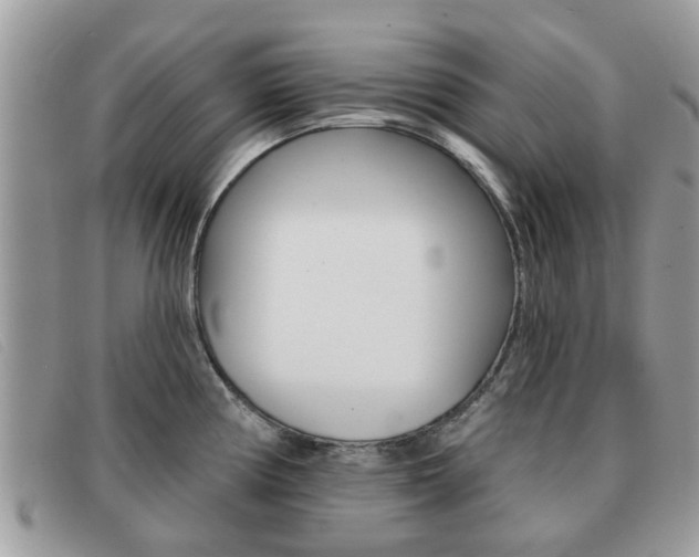 X0000091591194200708200945