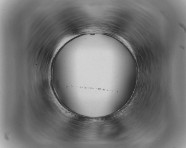 X0000091591195200708200945