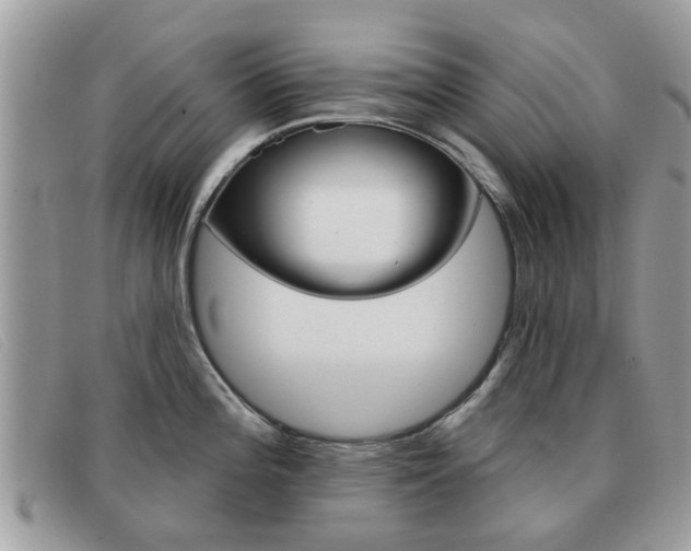 X0000091591196200708200945