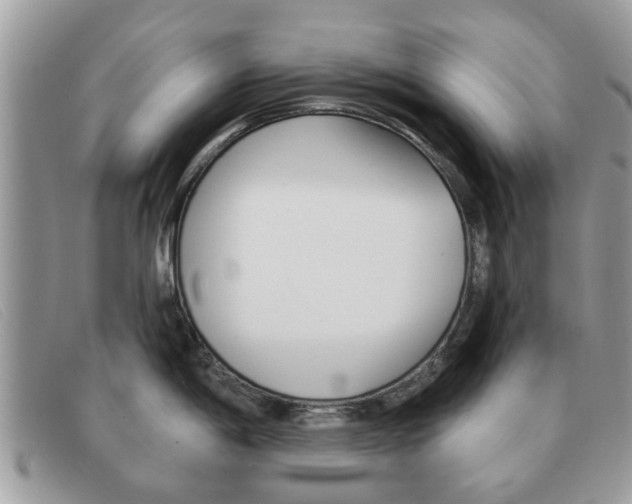 X0000091591198200708200945