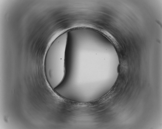X0000091591199200708200945