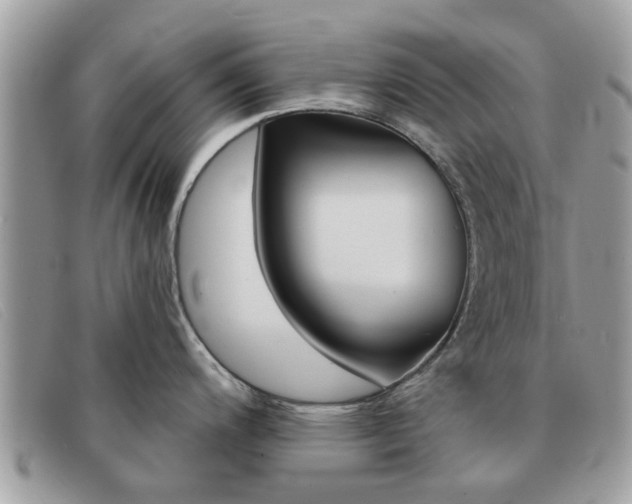 X0000091591200200708200944