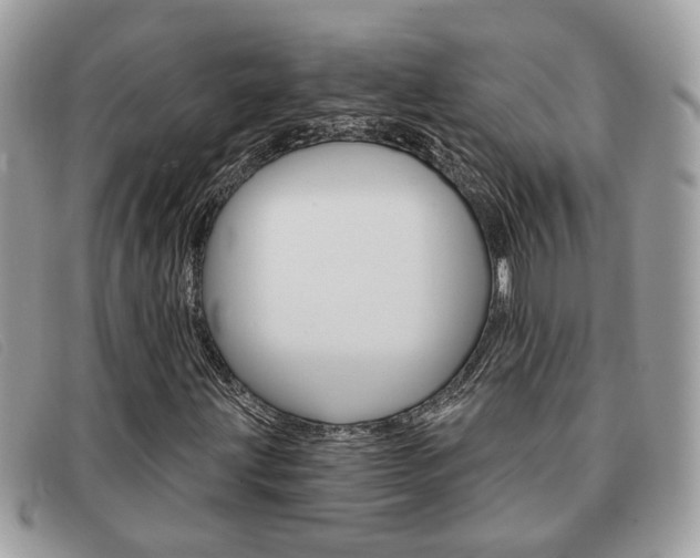 X0000091591203200708200944