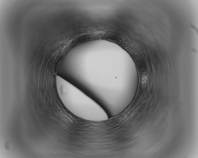 X0000091591204200708200944
