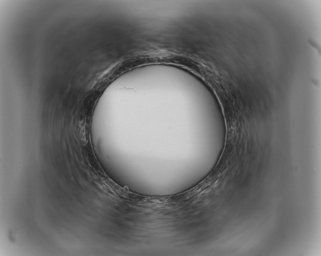 X0000091591205200708200944