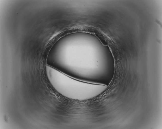 X0000091591206200708200944