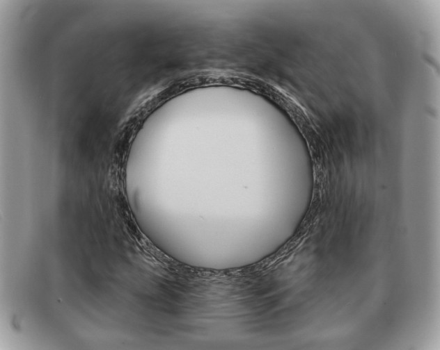X0000091591207200708200944