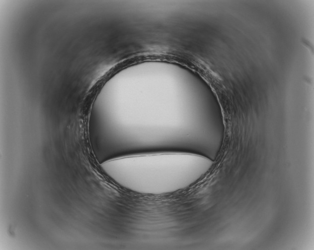 X0000091591208200708200944