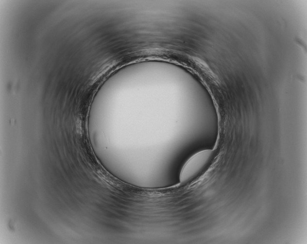 X0000091591209200708200944