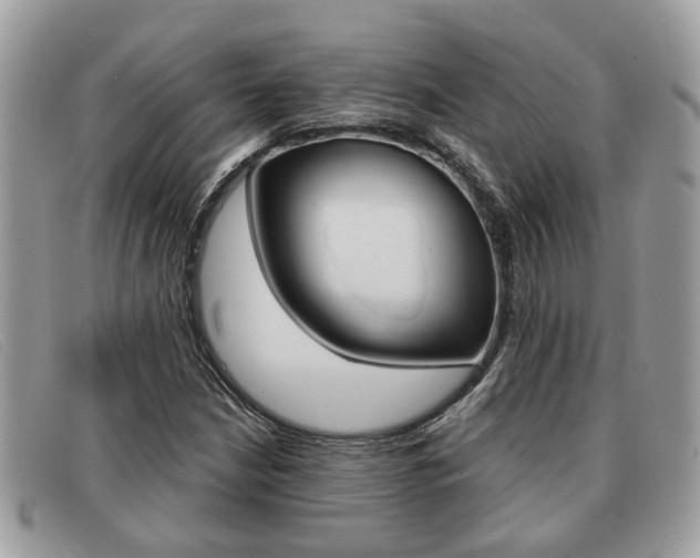 X0000091591210200708200944