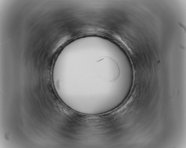 X0000091591211200708200944