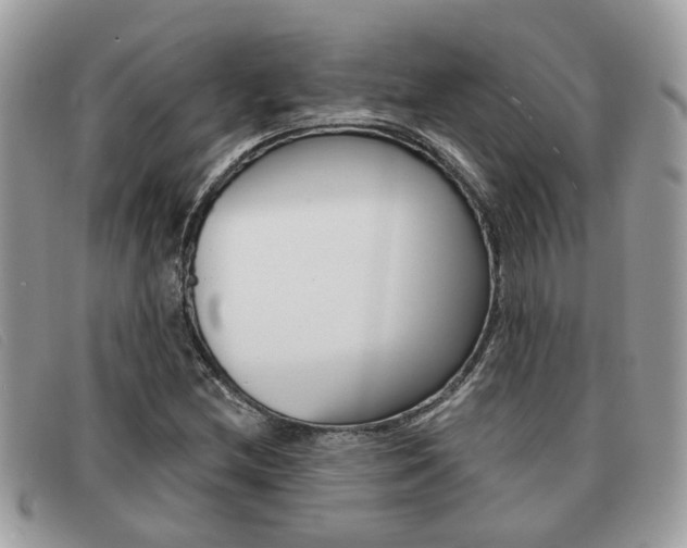 X0000091591212200708200944