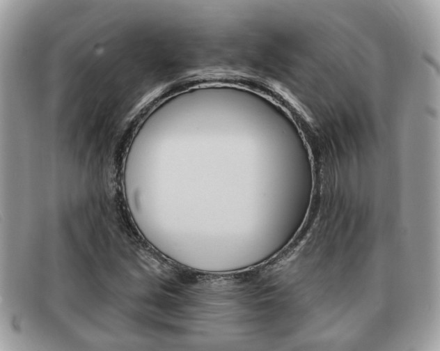 X0000091591213200708200944