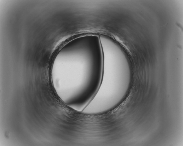X0000091591214200708200944